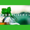 午後の紅茶でLINEポイント！マイル化も間に合うキャンペーン！