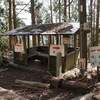 愛宕神社総本山へ登頂 (水尾登山口～愛宕神社)