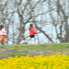 春が来た〜〜     「京都新聞写真コンテスト」