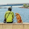 2012/4/27　うらやましいな