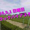 2024,9,1 日曜日 トラックバイアス予想 (新潟競馬場、中京競馬場、札幌競馬場)
