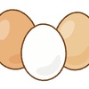 初めての卵の進め方