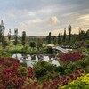 植物園ってもっと流行って良いと思うんですよ