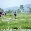 7月も尾瀬ヶ原は花盛り