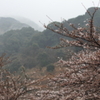 雨の休日