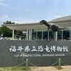 恐竜博物館に関する雑学！