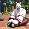 【フェリシタス装備】無人島ランク20！ねこみみさん【ロスガル見た目】