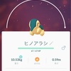 ヒノアラシ祭り