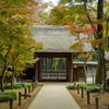 埼玉の人気紅葉スポット【平林寺】（新座市）