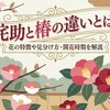 侘助（わびすけ）と椿の違いとは？花の特徴や見分け方・開花時期を解説