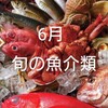 6月の旬の魚介類