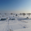 1月23日　コース状況　