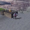 FF11 ヴァナバウト 4日目