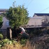おかげさまで