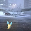 東京の初雪と戯れるマイナン【ポケモンGO】2018年1月の思い出写真・その１