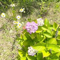 木星蟹座入り。幸運を受け取るには？