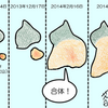 西之島また噴火！大きさは東京ドーム何個分？