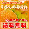 愛媛西宇和産いやしのみかん！秋味の大箱5ｋｇ入りを２箱で最安値の予約販売