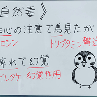 N 6系 不飽和脂肪酸のゴロ 覚え方 薬学ゴロ 薬学部はゴロでイチコロ N 6系 不飽和脂肪酸のゴロ 覚え方 薬学ゴロ 薬学部はゴロでイチコロ