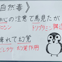 N 6系 不飽和脂肪酸のゴロ 覚え方 薬学ゴロ 薬学部はゴロでイチコロ