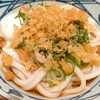 温玉ぶっかけうどんとかき揚げ、南瓜天