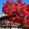 人混みを避けて紅葉を楽しめる穴場スポット＠京都