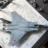 1/72 ハセガワ F-15J イーグル　制作途中