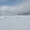 今朝の風景