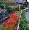 いきなり。選挙ですか？？