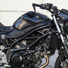 SV650 Light Custom(THANK YOU SOLD OUT!!)