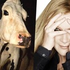 97 爆弾位は手で受けよ 4310 昭和94年2月