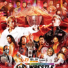 プロレス観戦記「WRESTLE KINGDOM 19 in 東京ドーム」