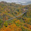 【写真スポット】日本最大級の吊り橋！大阪に紅葉名所『星のブランコ』。