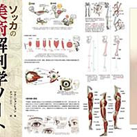 ソッカ 美術 解剖 学 イラスト ソッカの美術解剖学ノート キム・ラッキ