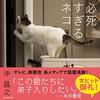 身も蓋もないトランプ