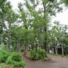 本村公園_境浄水場専用線跡（東京都武蔵野市）