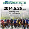 2014のチーム年間スケジュール