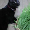 お留守番頑張るから？