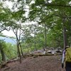 梅雨晴間の奥物部遊山　稜線の風景