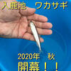 ワカサギ釣り　２０２０秋　愛知県　入鹿池　２０２０シーズン開幕！