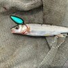 近場の釣りポイントはどこだ