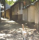 ibushou_photo