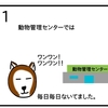 動物管理センターでの出会い【４コマ漫画】