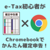 【Chromebookでe-Tax!!】ゼロからオンライン確定申告やってみた