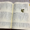 聖書　みことば