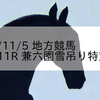 2023/11/5 地方競馬 金沢競馬 11R 兼六園雪吊り特別(A1)
