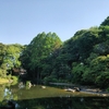 【レビュー】飲むカスタード⁉︎  戸越公園「烏煎道黒龍茶」に行ってきた。