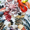 金運を上昇させる魚介類：なぜ魚介類が金運を引き寄せるのか？