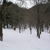 乗鞍　四ツ岳北面（山スキー）