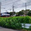 ＪＲ中央西線を走る貨物列車を撮りに行きました。（４）
